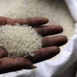 beras palsu dari plastik