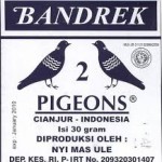 bandrek-pigeons