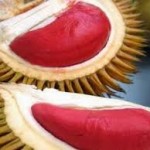 durian indonesia merah