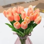 bunga tulip