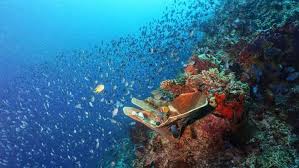 Liukang Keindahan Alam Bawah Laut Di 5 Pulau Sulawesi
