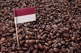 kopi indonesia terbaik
